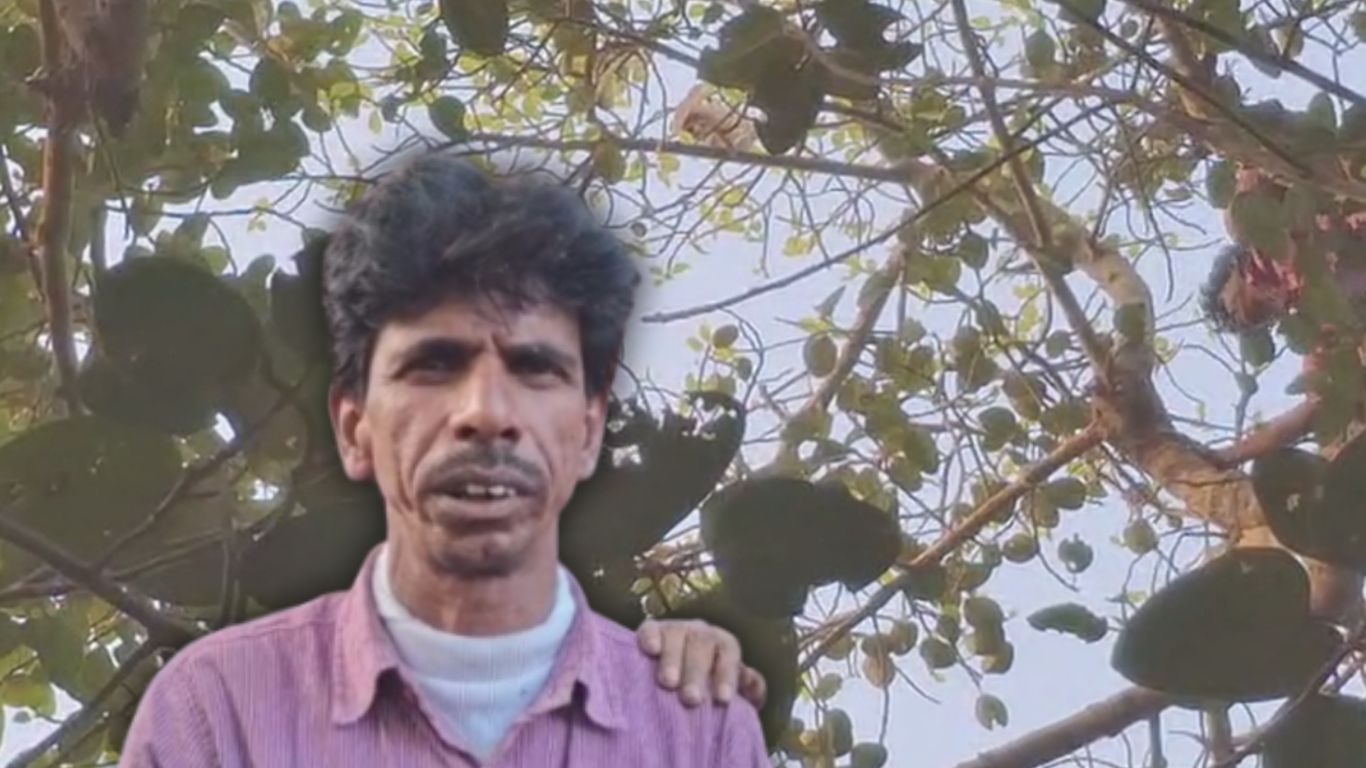 পেঁচা উদ্ধার