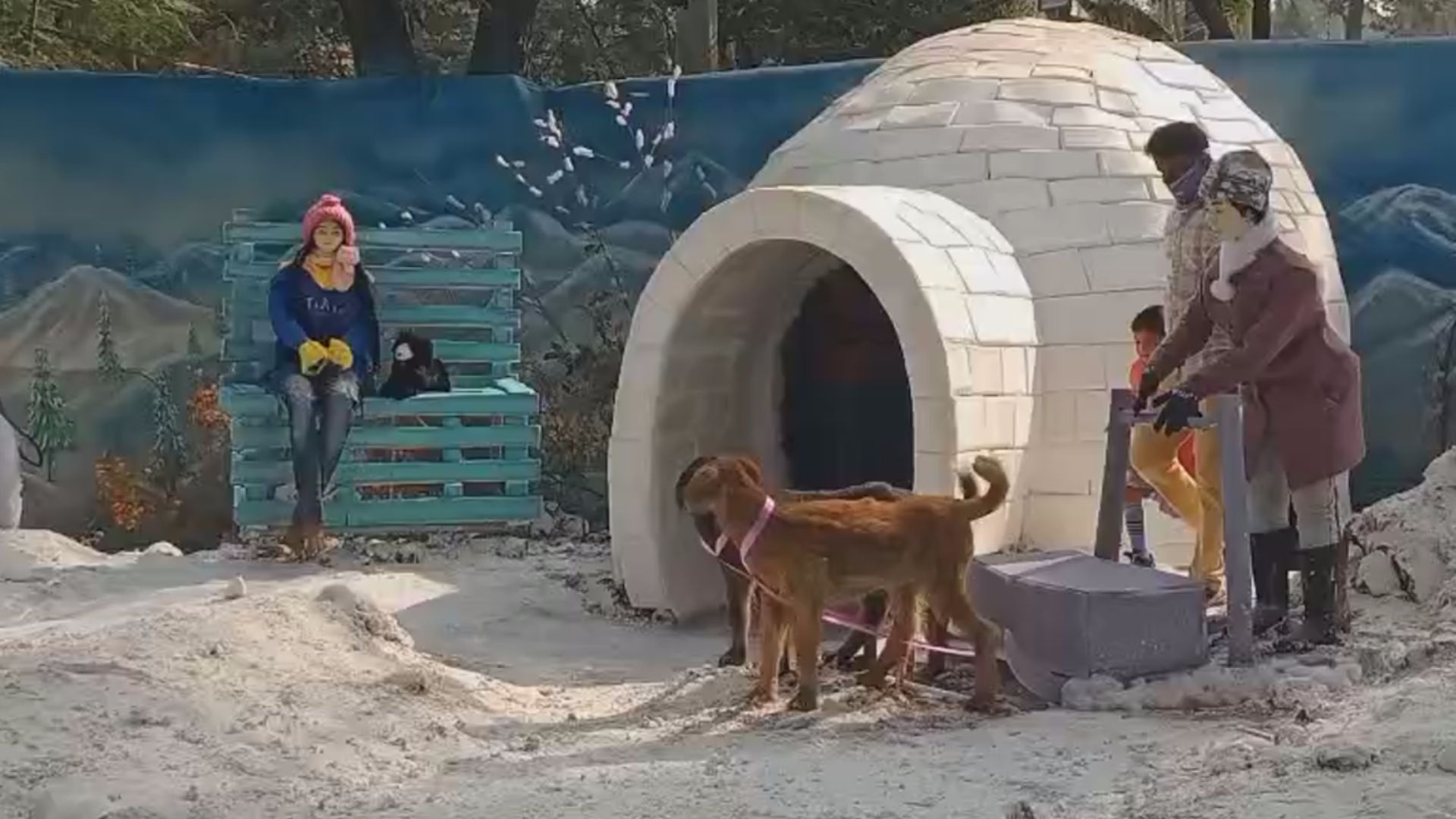 সরস্বতী পুজোর থিম বরফের দেশ