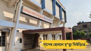 Death by snake bite in Suri Indoor Stadium while cleaning swimming pool